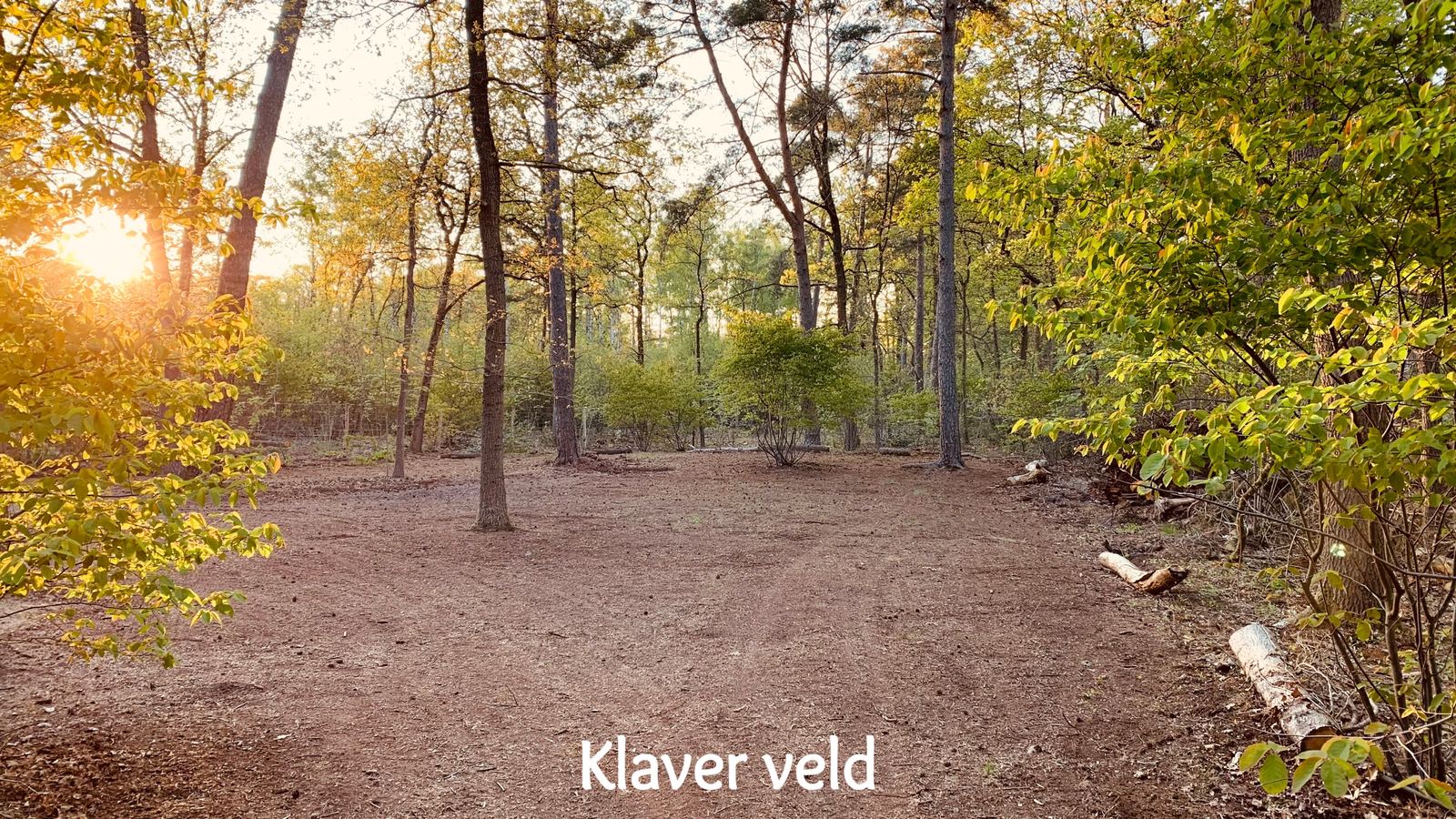 Het klaverveld