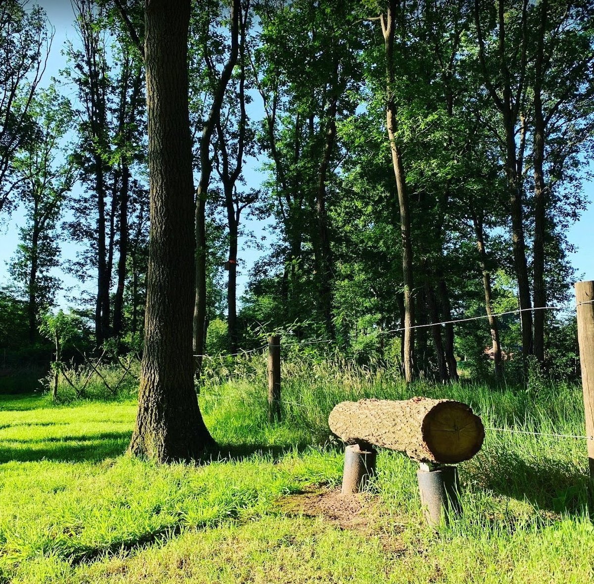 Een bankje in het Natuurbos