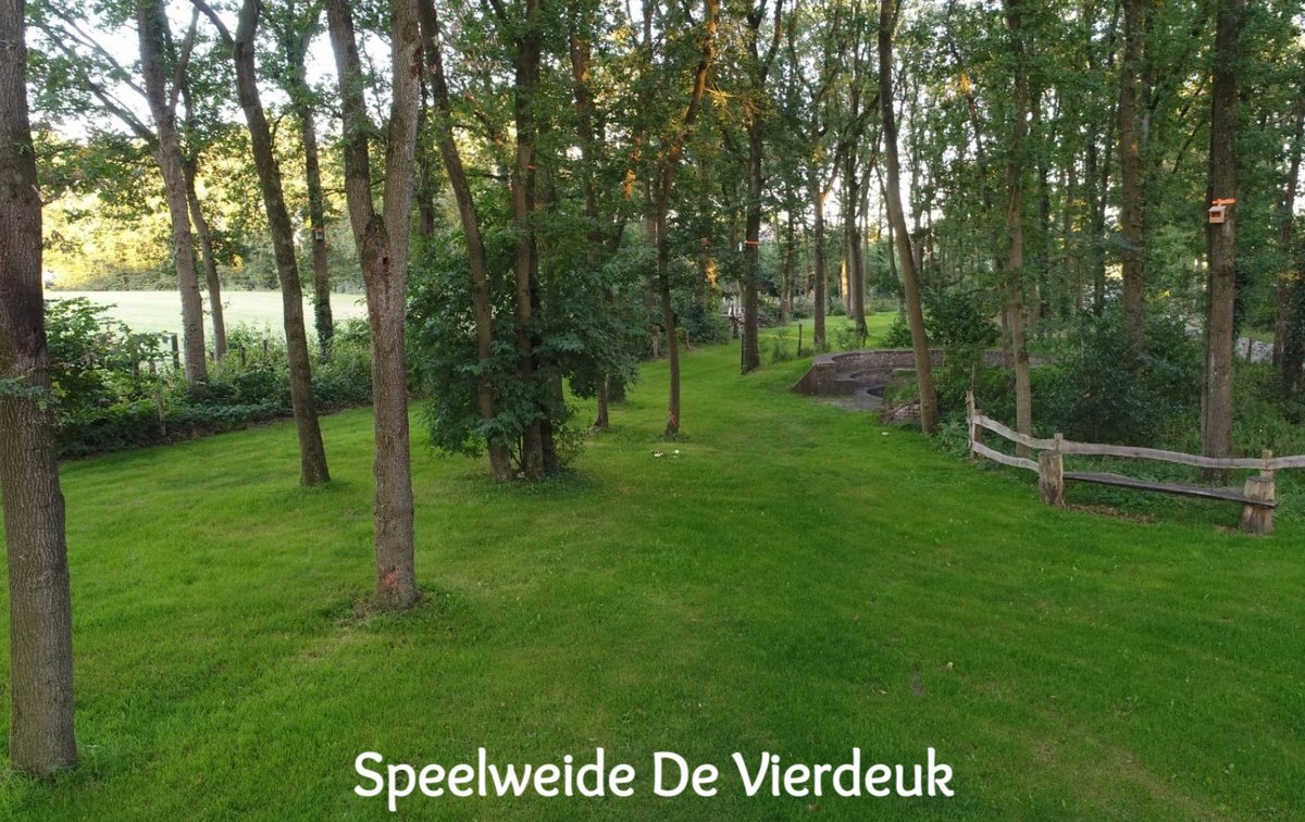 Overzicht van de speelweide