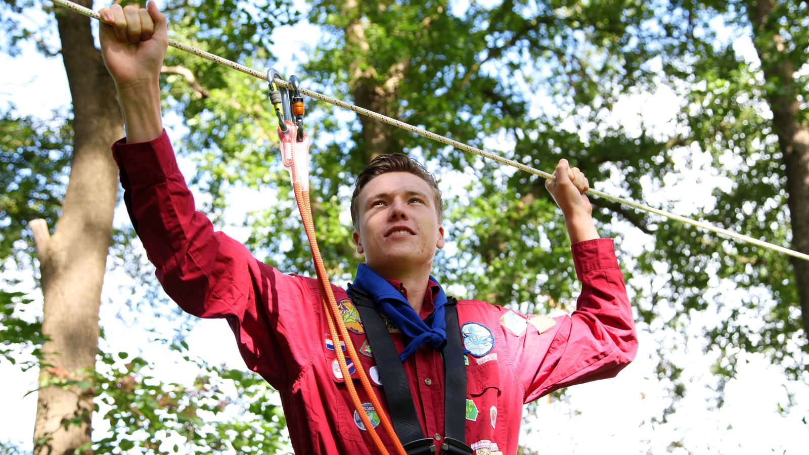 Klimmen in de bomen